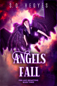 Fire and Brimstone Book 3 - Angels Fall